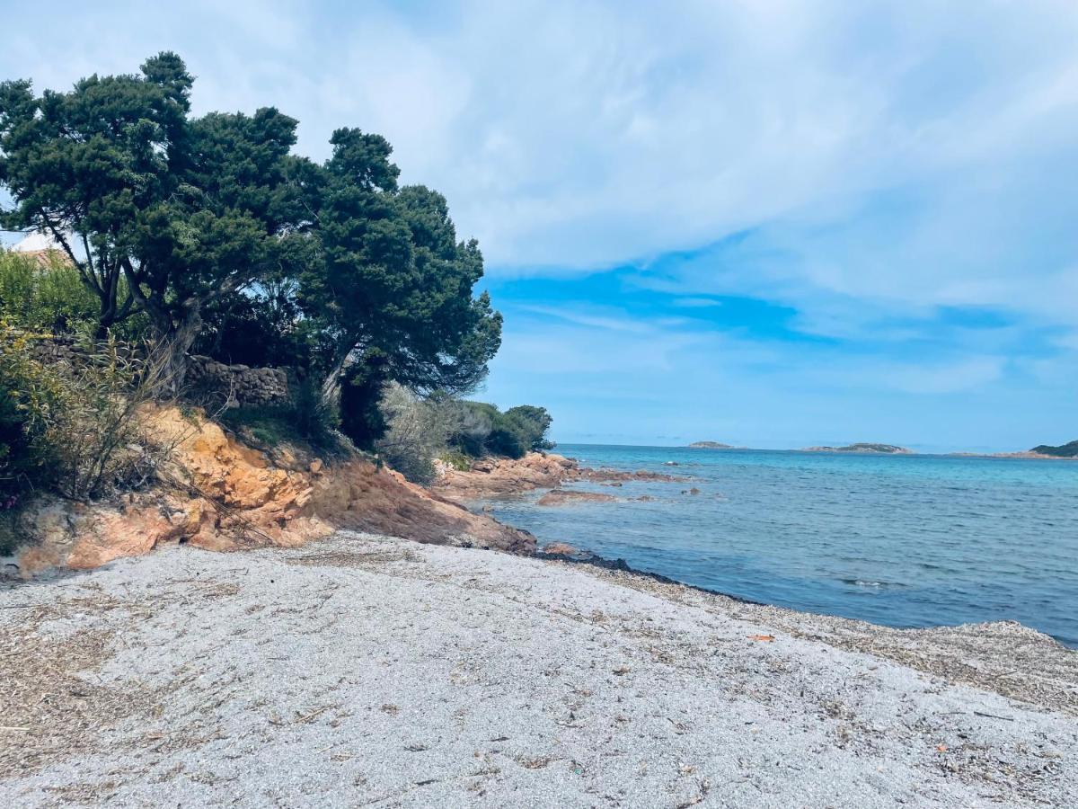 Hotel Piccolo Pevero Porto Cervo Eksteriør billede